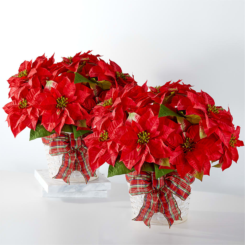 Happiest Holidays Poinsettia Bundle – EUTAW ACCENT FLOWERS & GIFTS, Eutaw AL