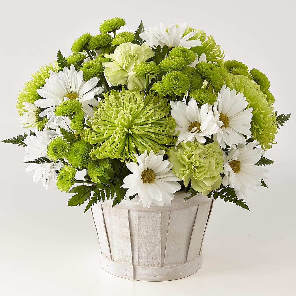 Lucky Charm Basket (Standard) – EUTAW ACCENT FLOWERS & GIFTS, Eutaw AL