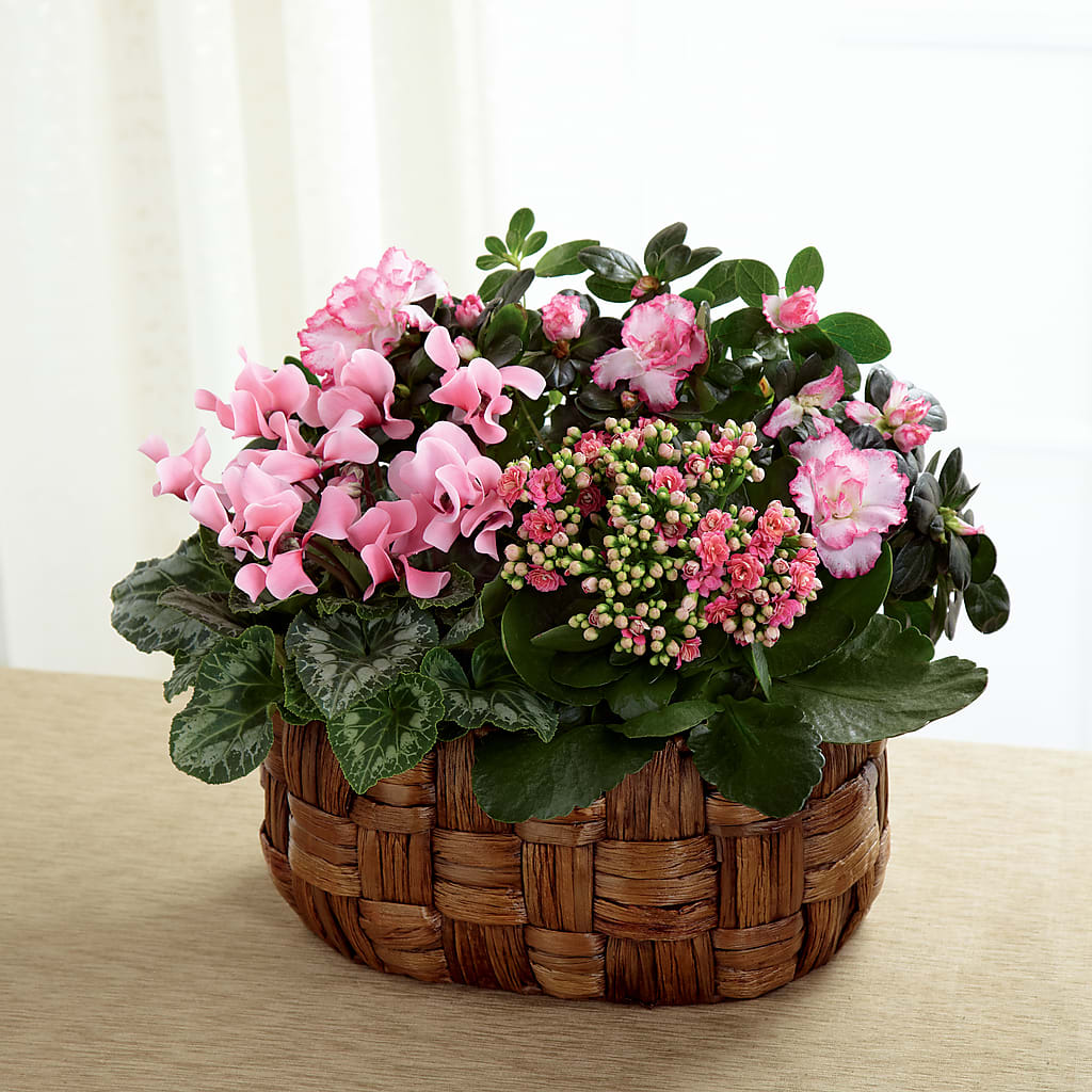 Pink Assortment – EUTAW ACCENT FLOWERS & GIFTS, Eutaw AL