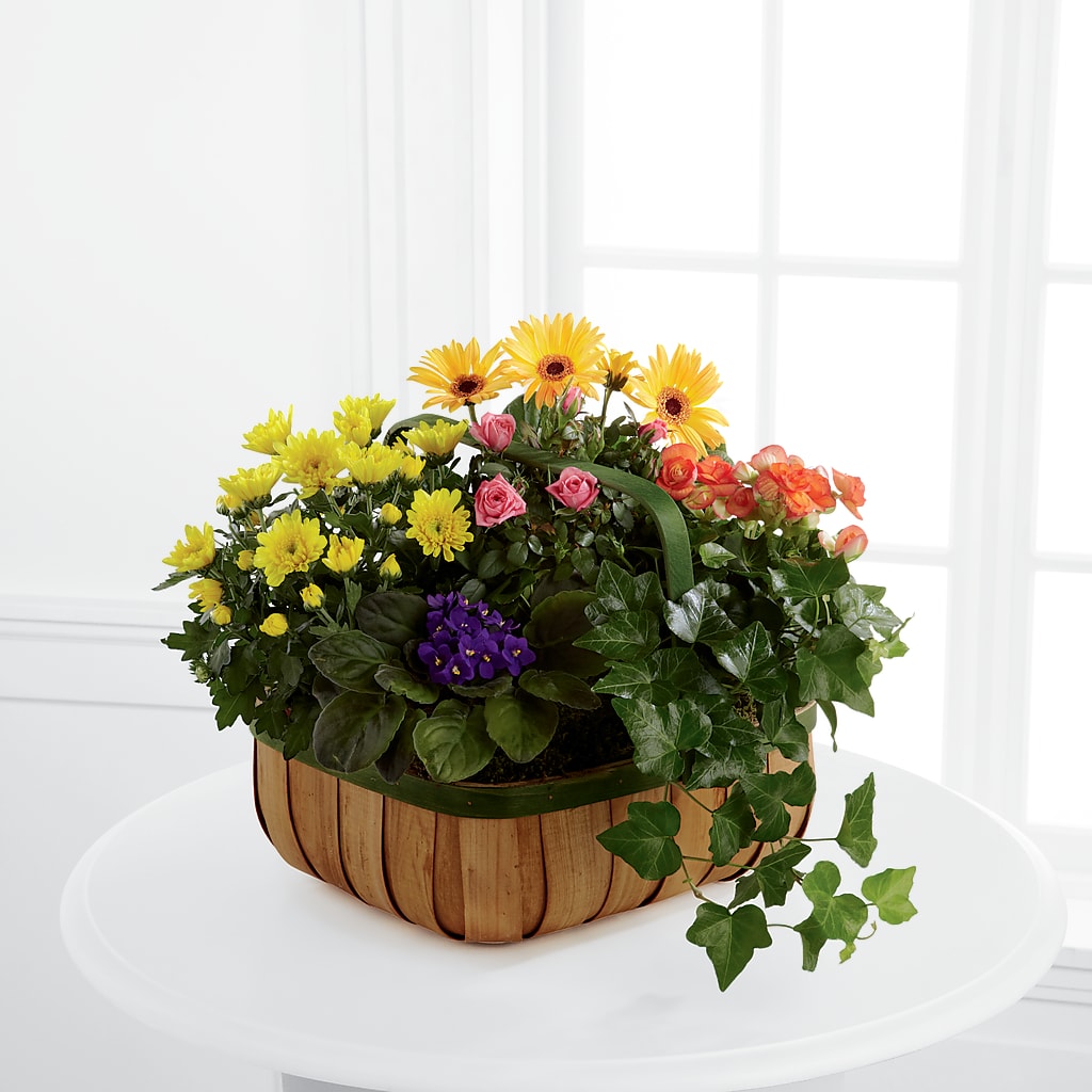 Gentle Blossoms Basket – EUTAW ACCENT FLOWERS & GIFTS, Eutaw AL