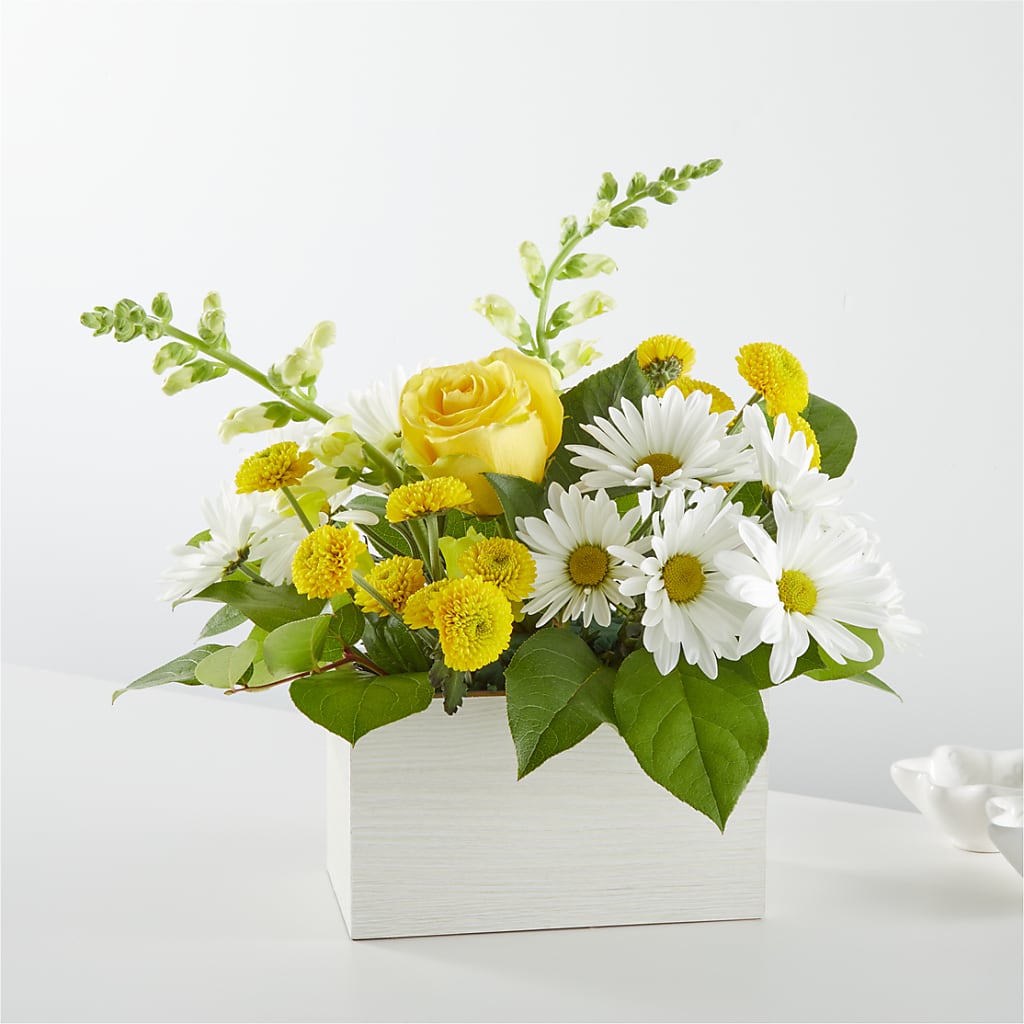 Sun Salutation Box Bouquet – EUTAW ACCENT FLOWERS & GIFTS, Eutaw AL