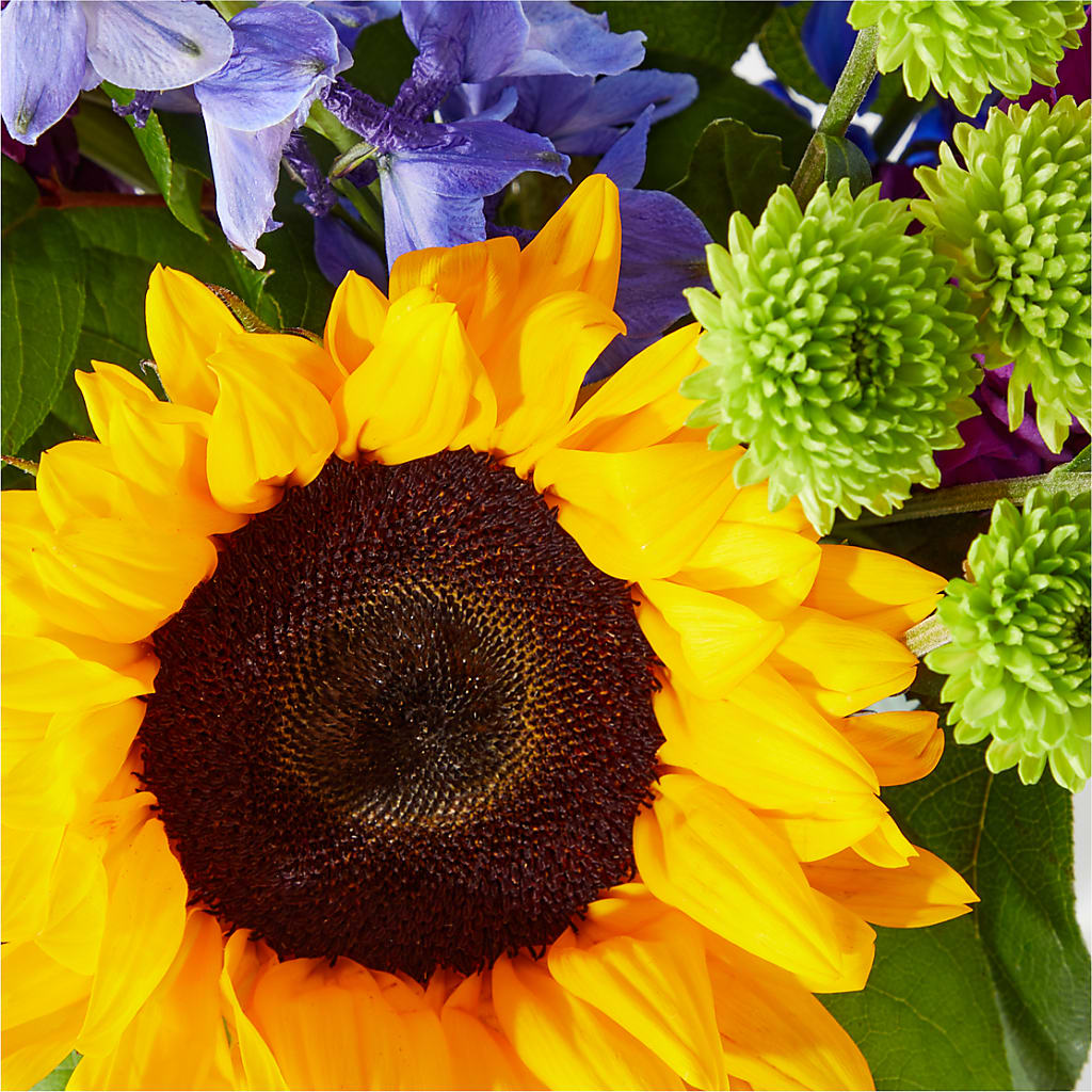 Catching Rays Bouquet – EUTAW ACCENT FLOWERS & GIFTS, Eutaw AL