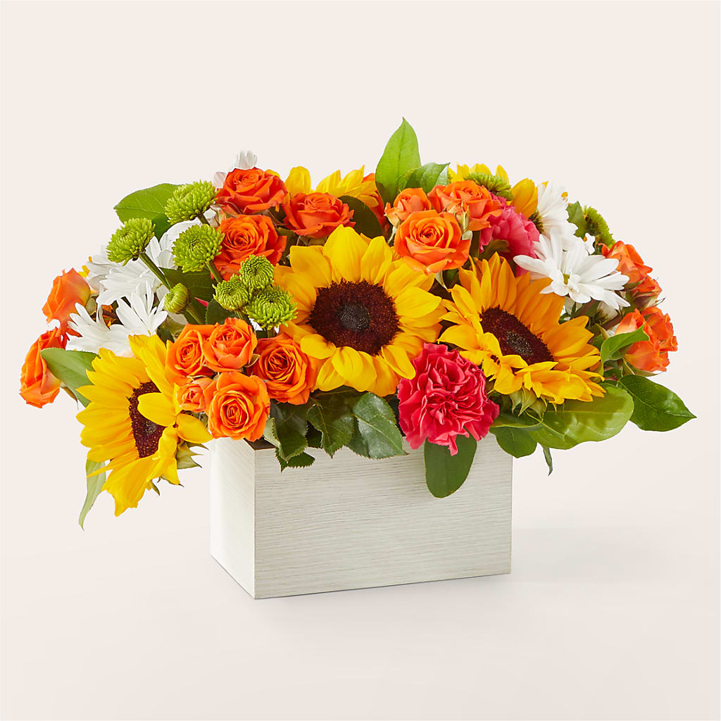 Sun-drenched Blooms Box Bouquet – EUTAW ACCENT FLOWERS & GIFTS, Eutaw AL