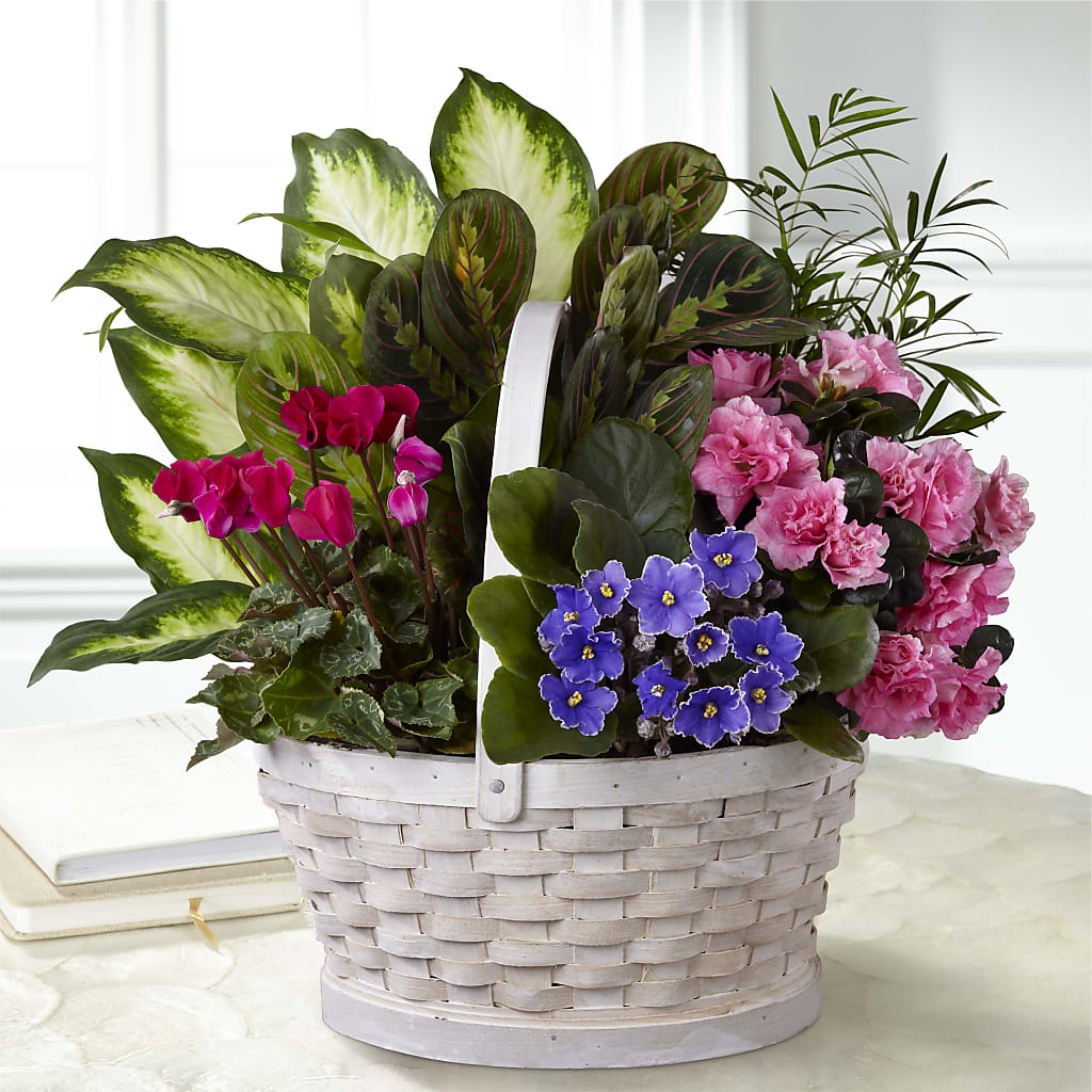 Peaceful Garden Planter – EUTAW ACCENT FLOWERS & GIFTS, Eutaw AL