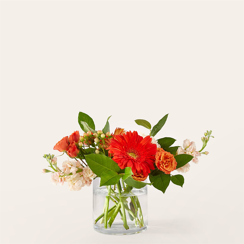 Paloma Please Bouquet – EUTAW ACCENT FLOWERS & GIFTS, Eutaw AL