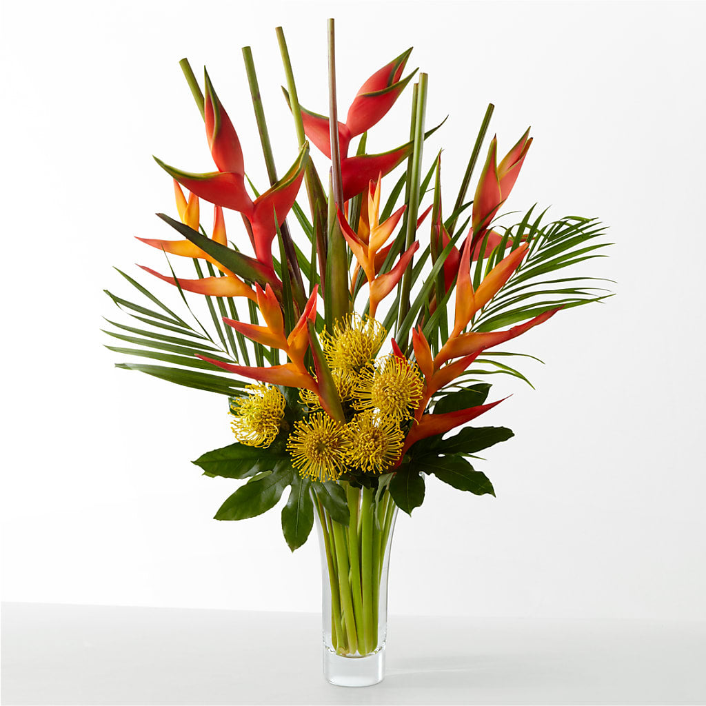 The Drama – EUTAW ACCENT FLOWERS & GIFTS, Eutaw AL