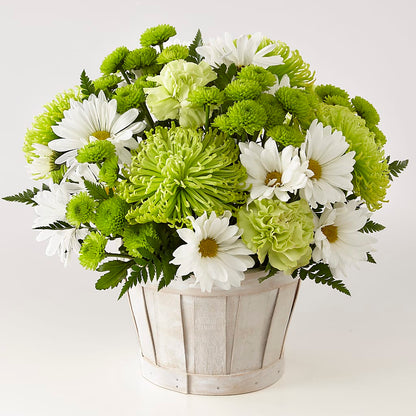 Lucky Charm Basket (Standard) – EUTAW ACCENT FLOWERS & GIFTS, Eutaw AL