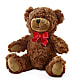 Adorable Plush Bear – EUTAW ACCENT FLOWERS & GIFTS, Eutaw AL