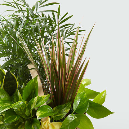French Garden – EUTAW ACCENT FLOWERS & GIFTS, Eutaw AL