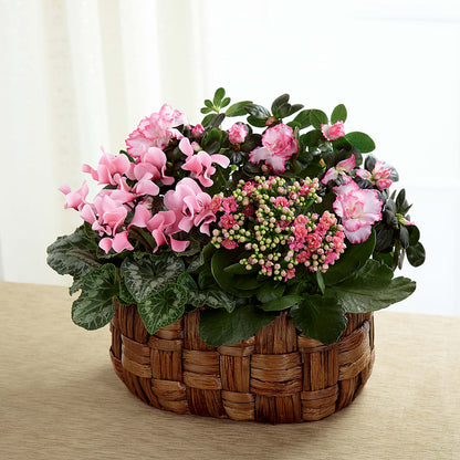 Pink Assortment – EUTAW ACCENT FLOWERS & GIFTS, Eutaw AL