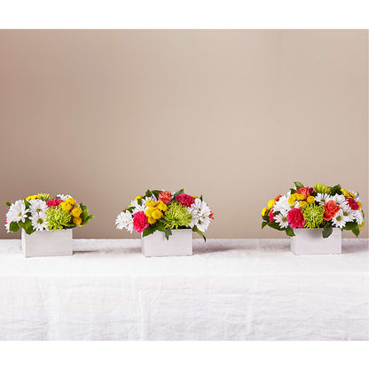Sorbet Bouquet – EUTAW ACCENT FLOWERS & GIFTS, Eutaw AL