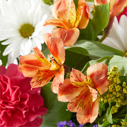 Oopsie Daisy Box Bouquet – EUTAW ACCENT FLOWERS & GIFTS, Eutaw AL