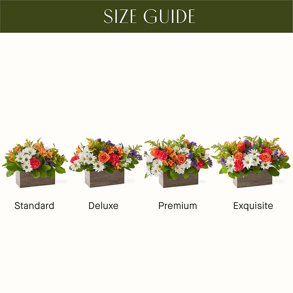 Oopsie Daisy Box Bouquet – EUTAW ACCENT FLOWERS & GIFTS, Eutaw AL