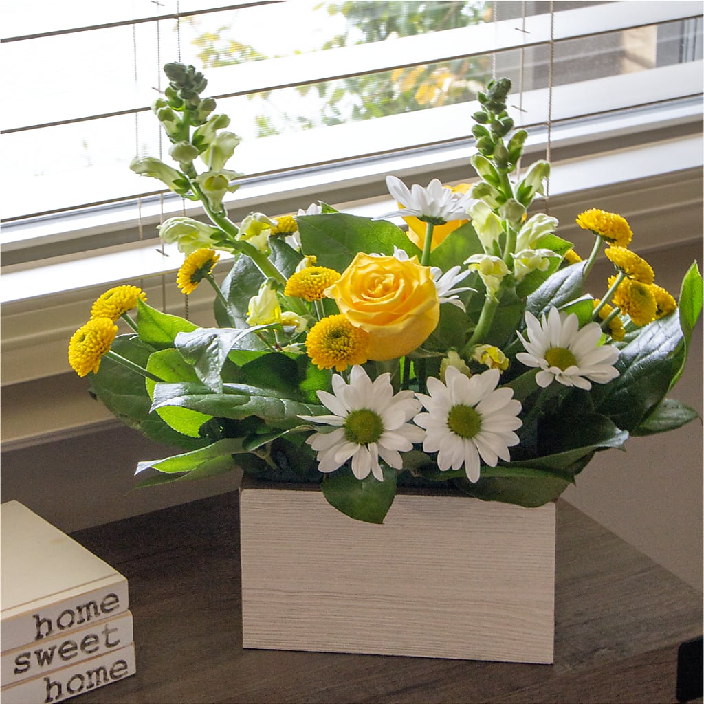 Sun Salutation Box Bouquet – EUTAW ACCENT FLOWERS & GIFTS, Eutaw AL