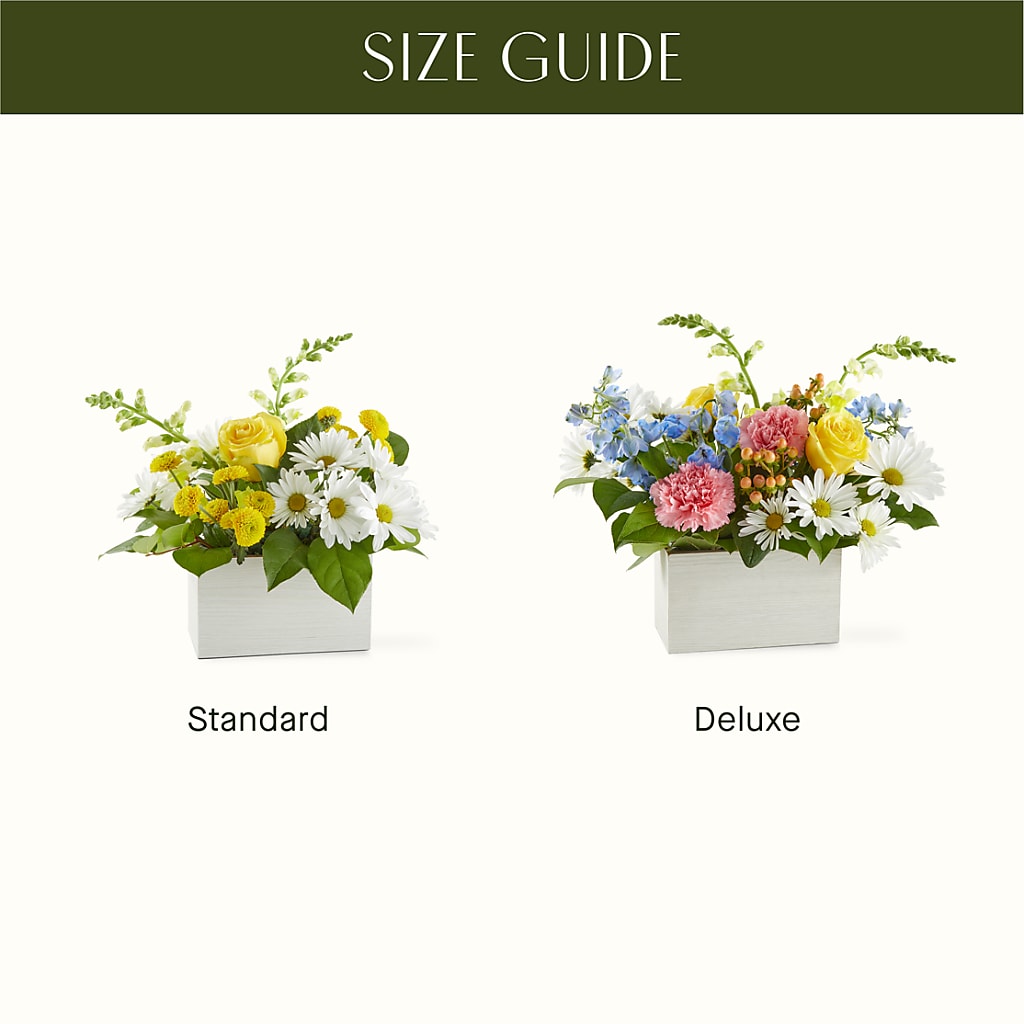 Sun Salutation Box Bouquet – EUTAW ACCENT FLOWERS & GIFTS, Eutaw AL