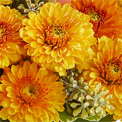 Peachy Pumpkin – EUTAW ACCENT FLOWERS & GIFTS, Eutaw AL