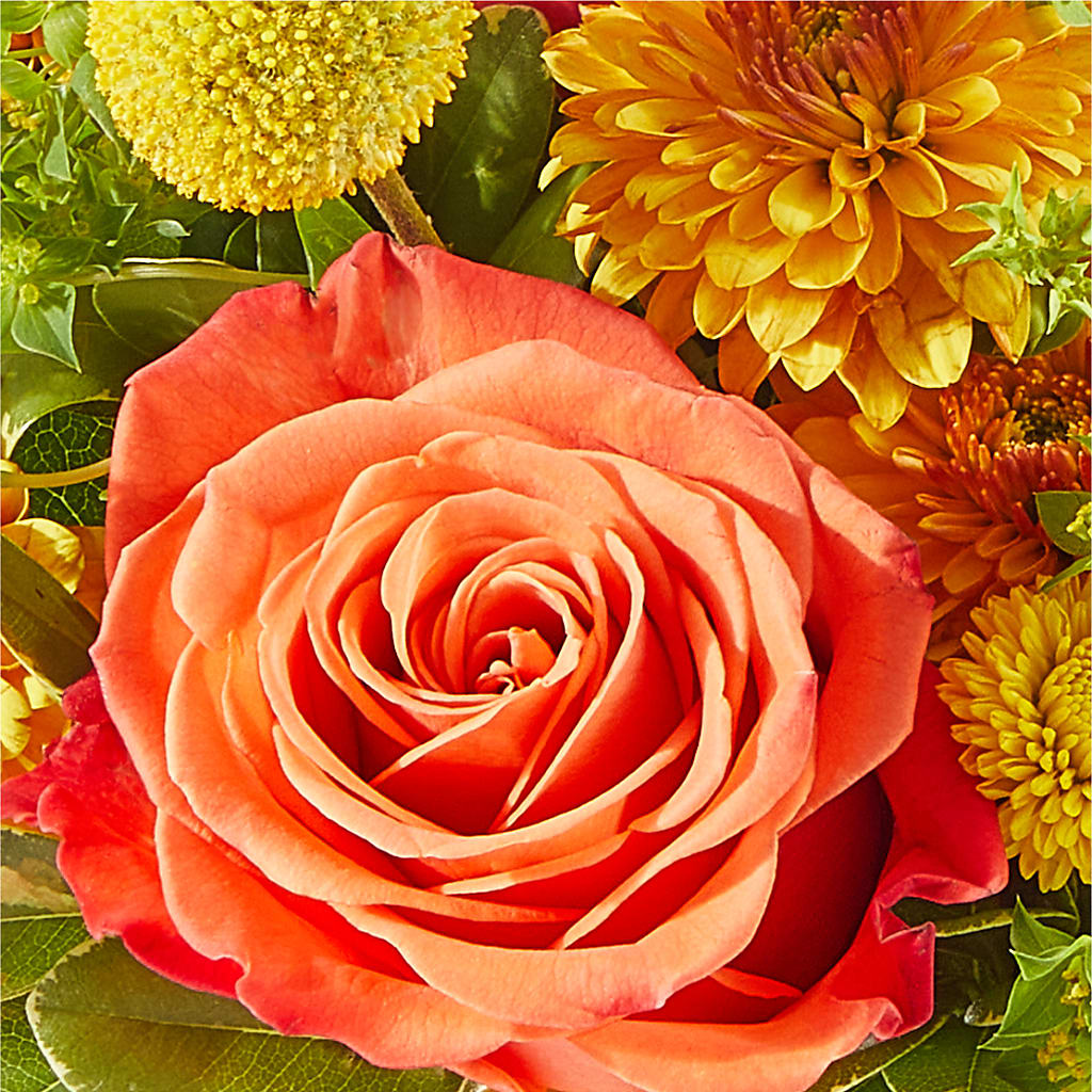 Gourdgeous Pumpkin – EUTAW ACCENT FLOWERS & GIFTS, Eutaw AL