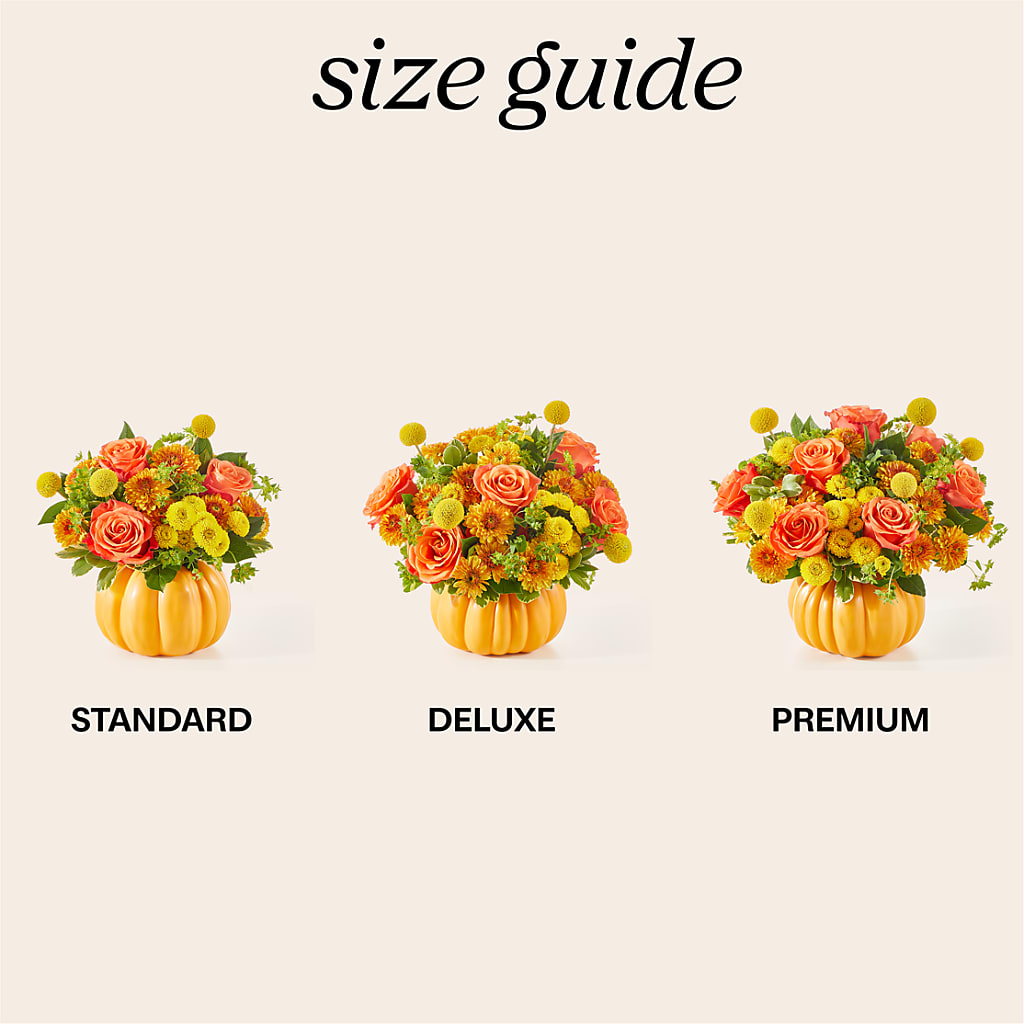 Gourdgeous Pumpkin – EUTAW ACCENT FLOWERS & GIFTS, Eutaw AL