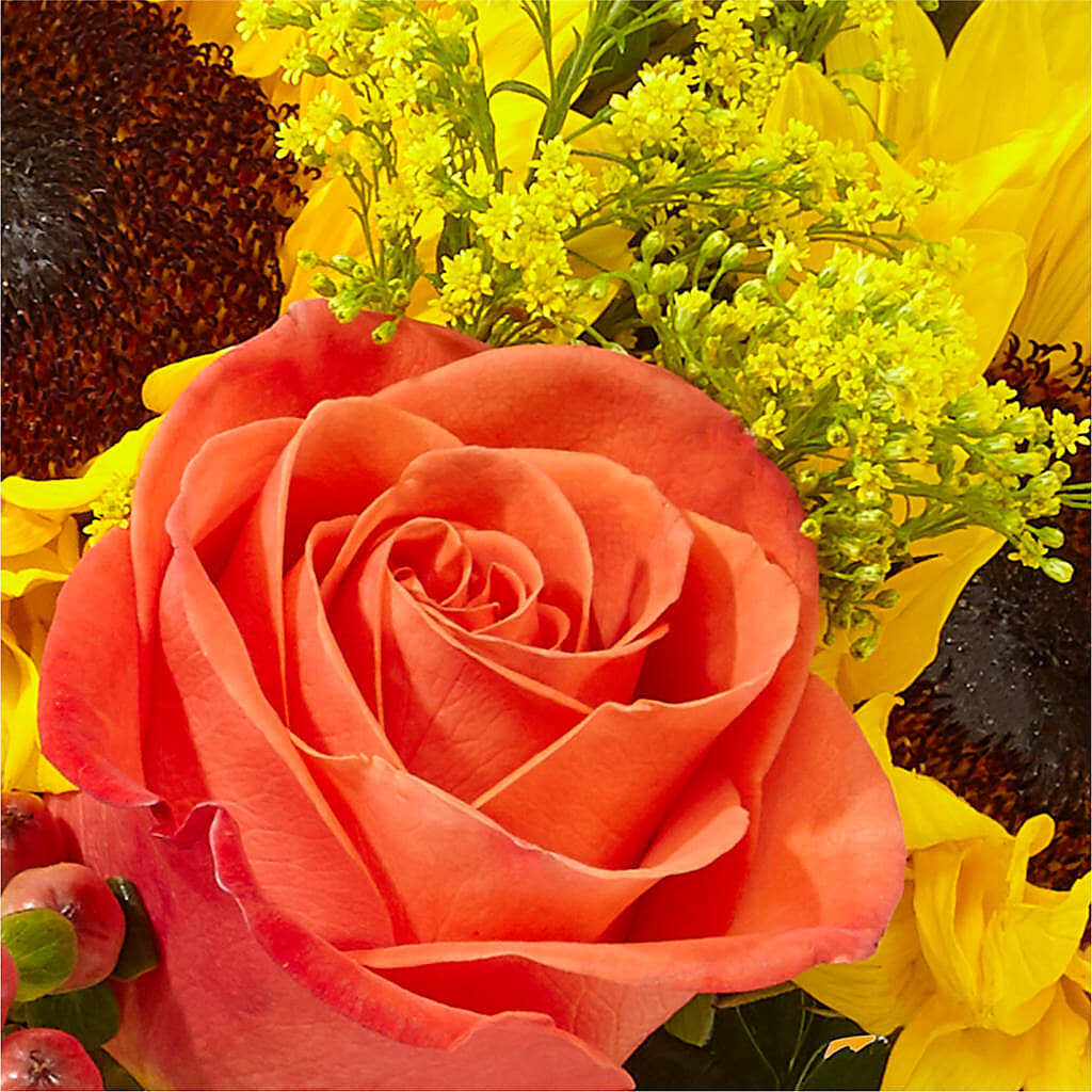 Pick of the Patch Pumpkin Bouquet – EUTAW ACCENT FLOWERS & GIFTS, Eutaw AL