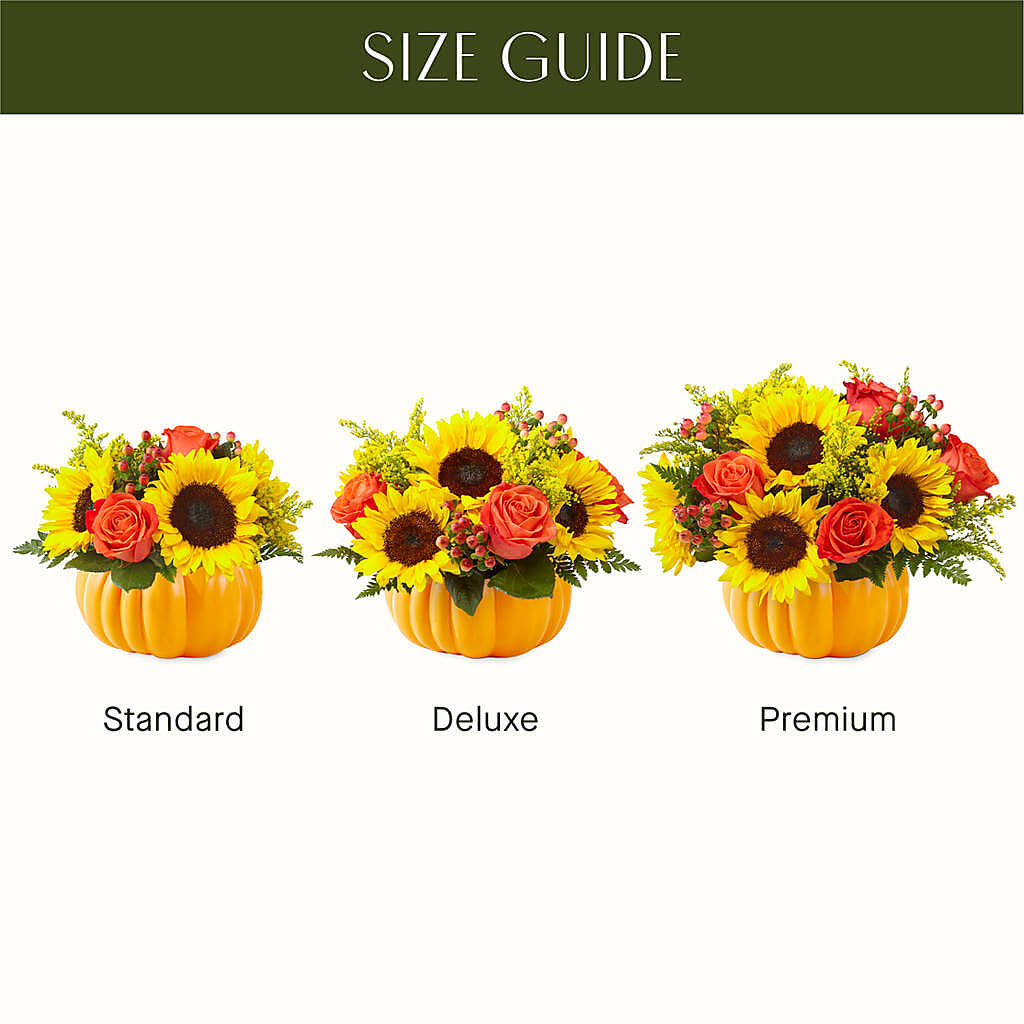 Pick of the Patch Pumpkin Bouquet – EUTAW ACCENT FLOWERS & GIFTS, Eutaw AL
