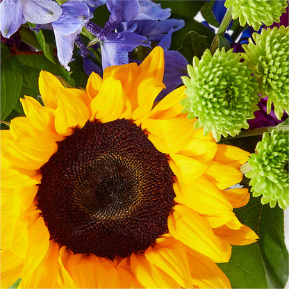 Catching Rays Bouquet – EUTAW ACCENT FLOWERS & GIFTS, Eutaw AL