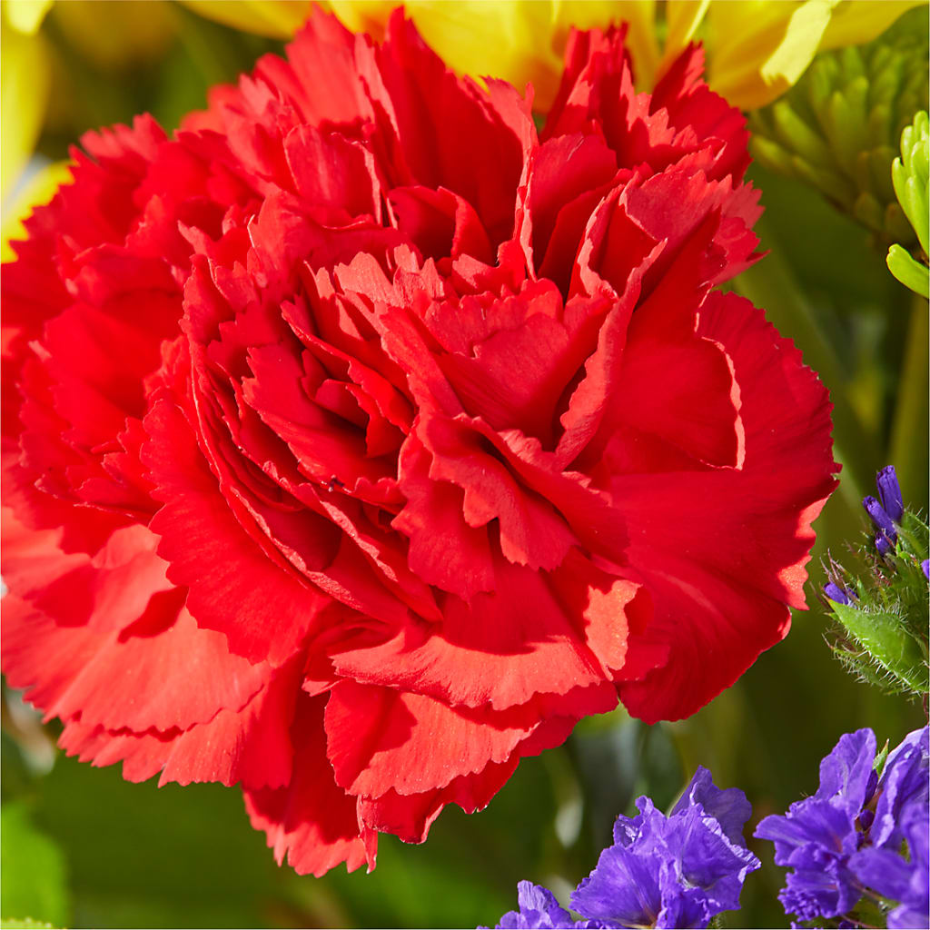 Brighter Days Bouquet – EUTAW ACCENT FLOWERS & GIFTS, Eutaw AL