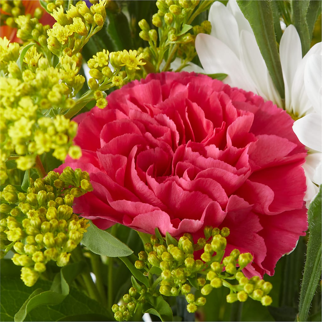 Oopsie Daisy Bouquet – EUTAW ACCENT FLOWERS & GIFTS, Eutaw AL