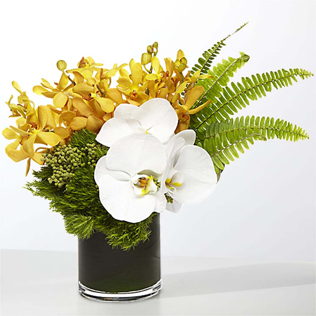 The Tropics – EUTAW ACCENT FLOWERS & GIFTS, Eutaw AL