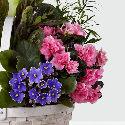 Peaceful Garden Planter – EUTAW ACCENT FLOWERS & GIFTS, Eutaw AL