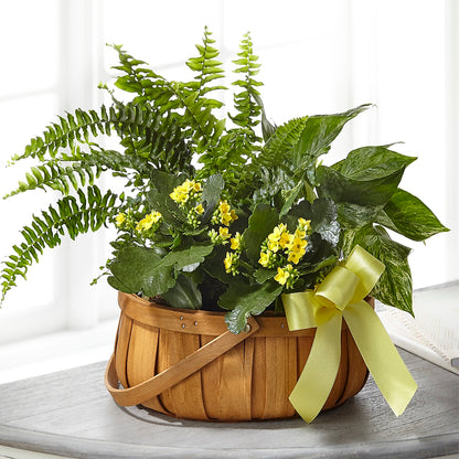 Always Dear Dishgarden – EUTAW ACCENT FLOWERS & GIFTS, Eutaw AL