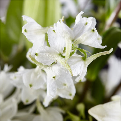 Classic Ivory – A Florist Original – EUTAW ACCENT FLOWERS & GIFTS, Eutaw AL