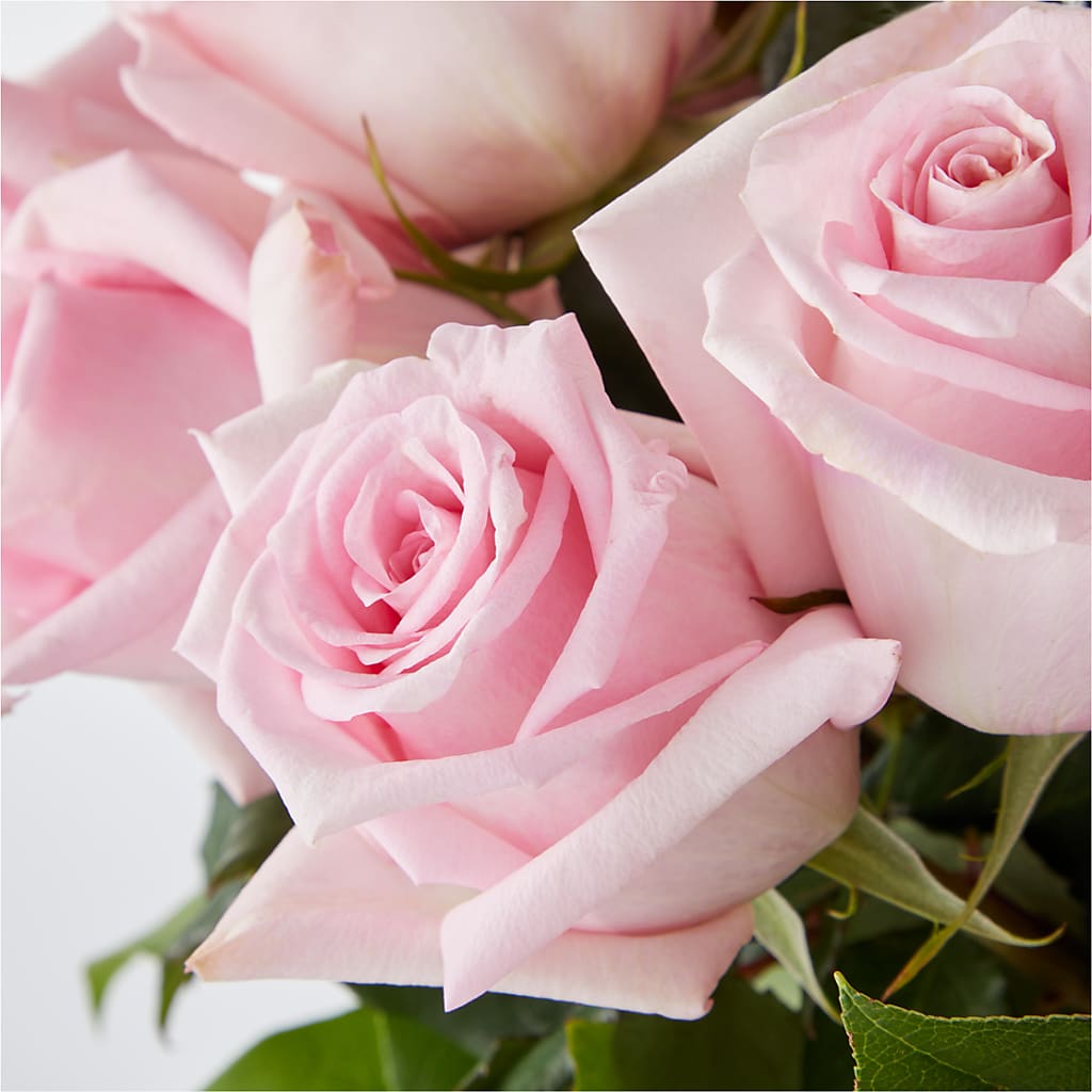 Picture Perfect Pink Rose Bouquet – EUTAW ACCENT FLOWERS & GIFTS, Eutaw AL