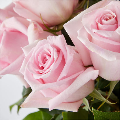 Picture Perfect Pink Rose Bouquet – EUTAW ACCENT FLOWERS & GIFTS, Eutaw AL