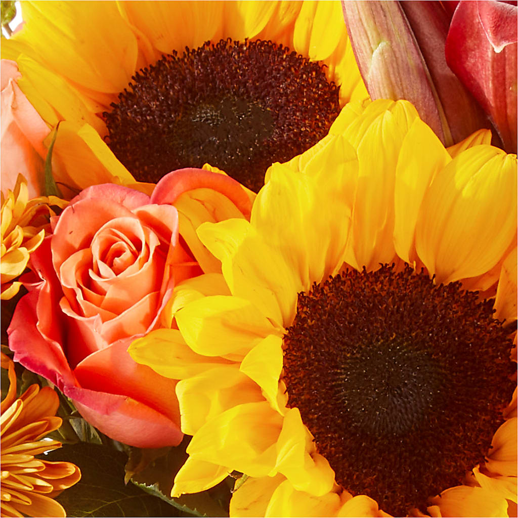 Acorn Lane Bouquet – EUTAW ACCENT FLOWERS & GIFTS, Eutaw AL