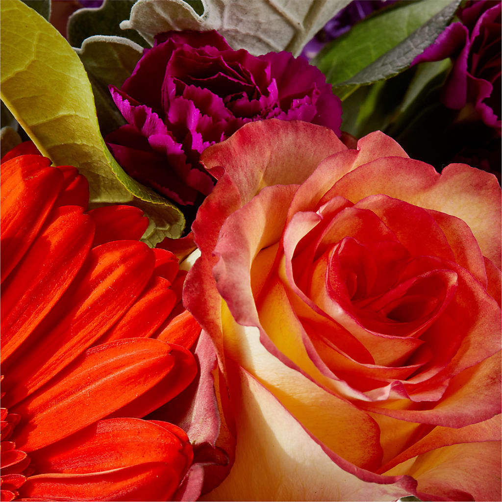 Sangria Bouquet – EUTAW ACCENT FLOWERS & GIFTS, Eutaw AL