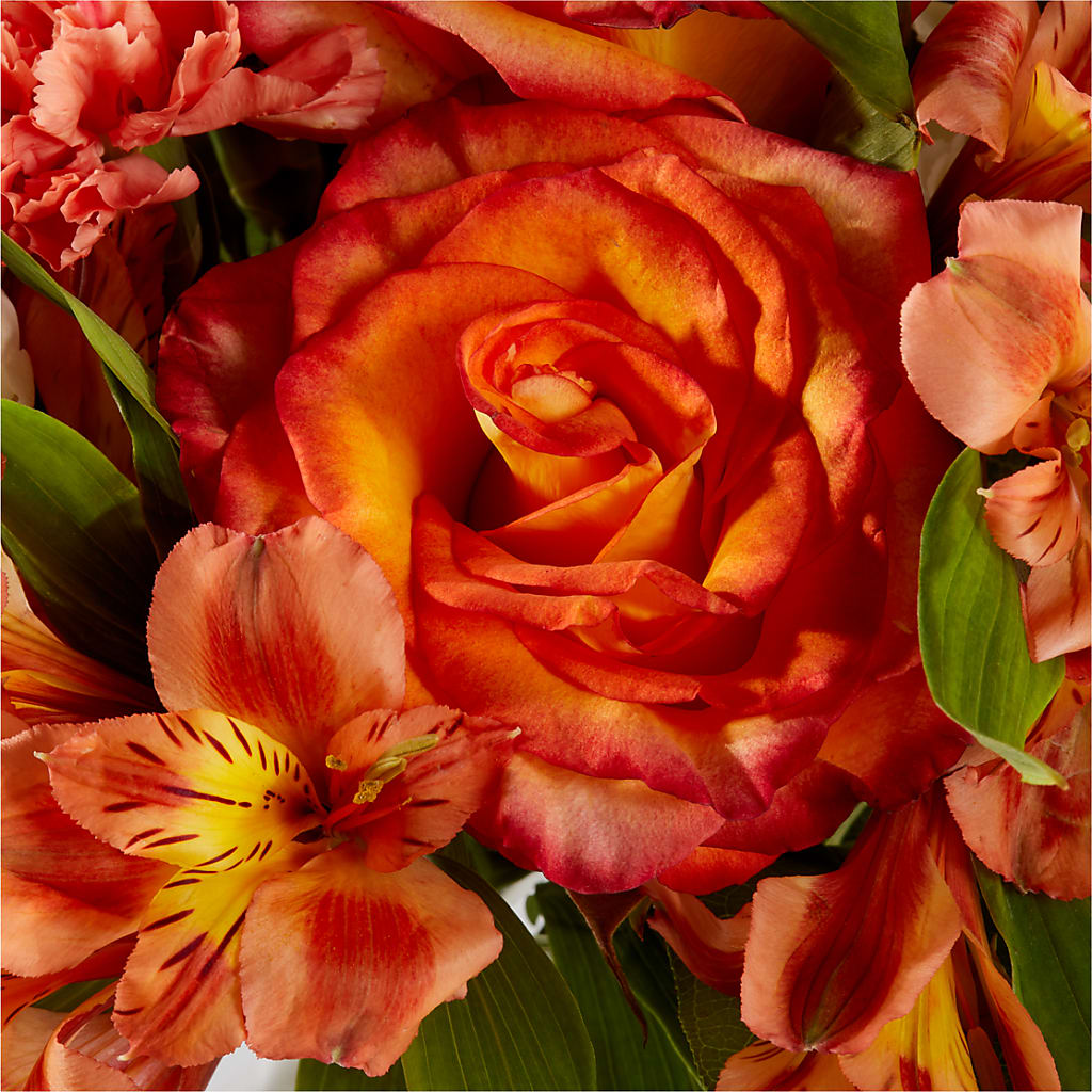 Apricot Glow Bouquet – EUTAW ACCENT FLOWERS & GIFTS, Eutaw AL