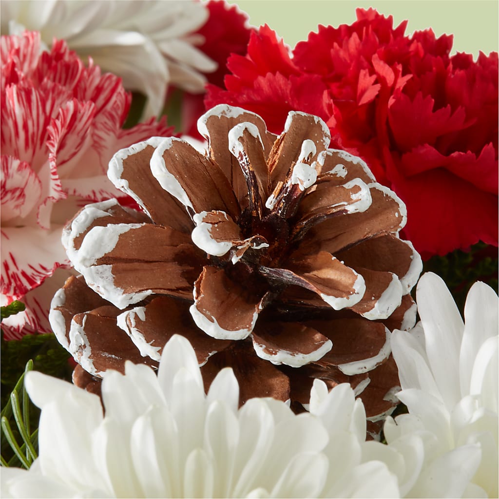 Candy Cane Lane Bouquet – EUTAW ACCENT FLOWERS & GIFTS, Eutaw AL