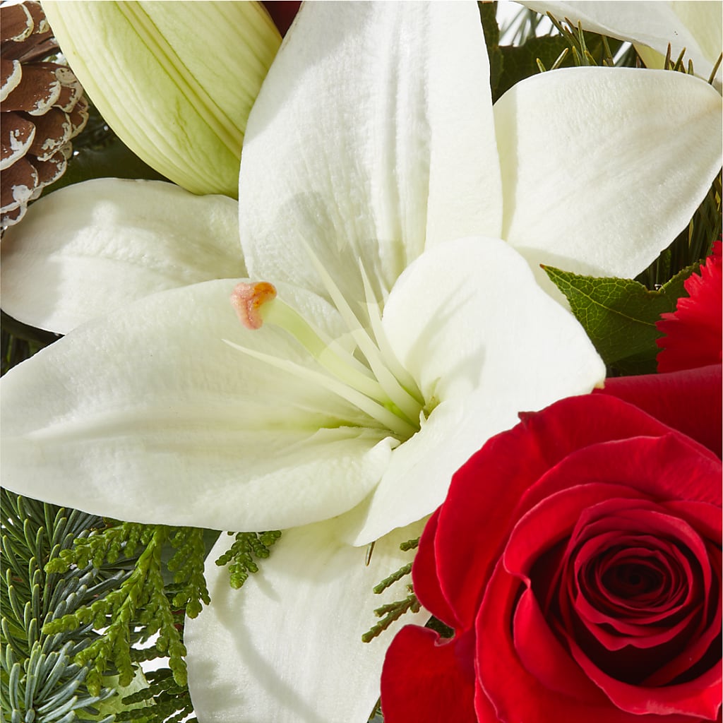 Oh So Jolly Bouquet – EUTAW ACCENT FLOWERS & GIFTS, Eutaw AL
