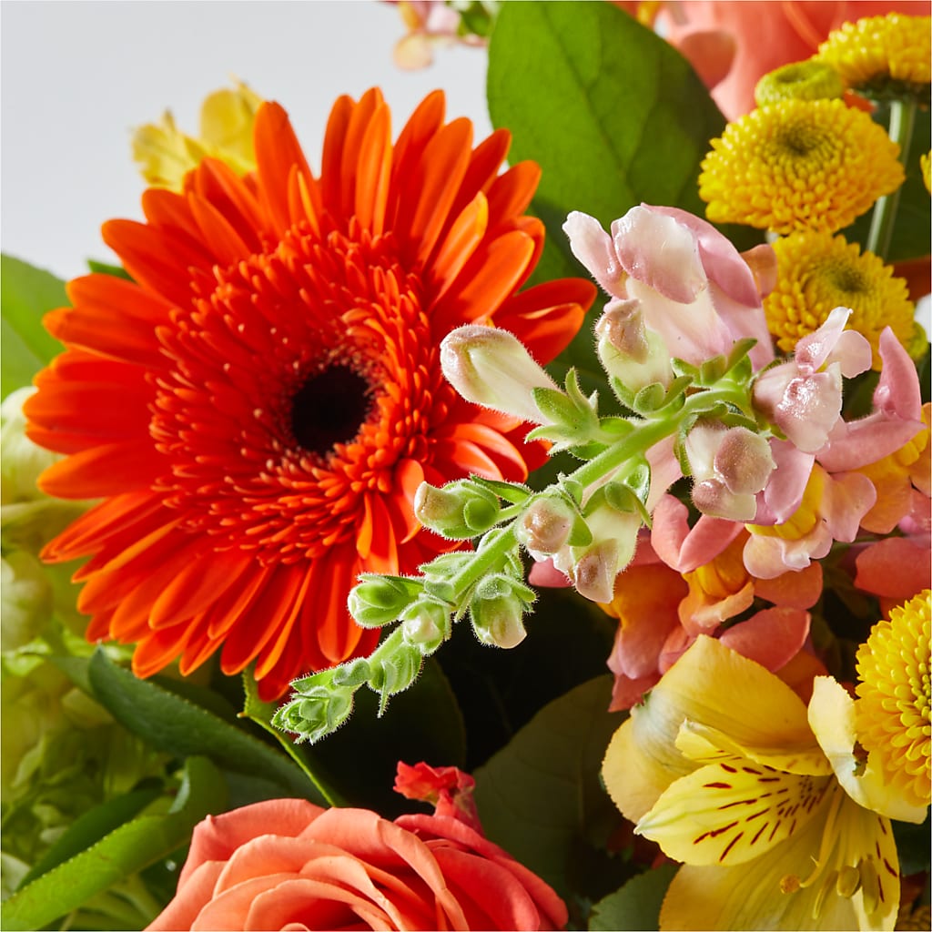 Autumn Sunshine Bouquet – EUTAW ACCENT FLOWERS & GIFTS, Eutaw AL