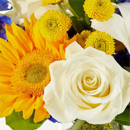 Stargazing Bouquet – EUTAW ACCENT FLOWERS & GIFTS, Eutaw AL