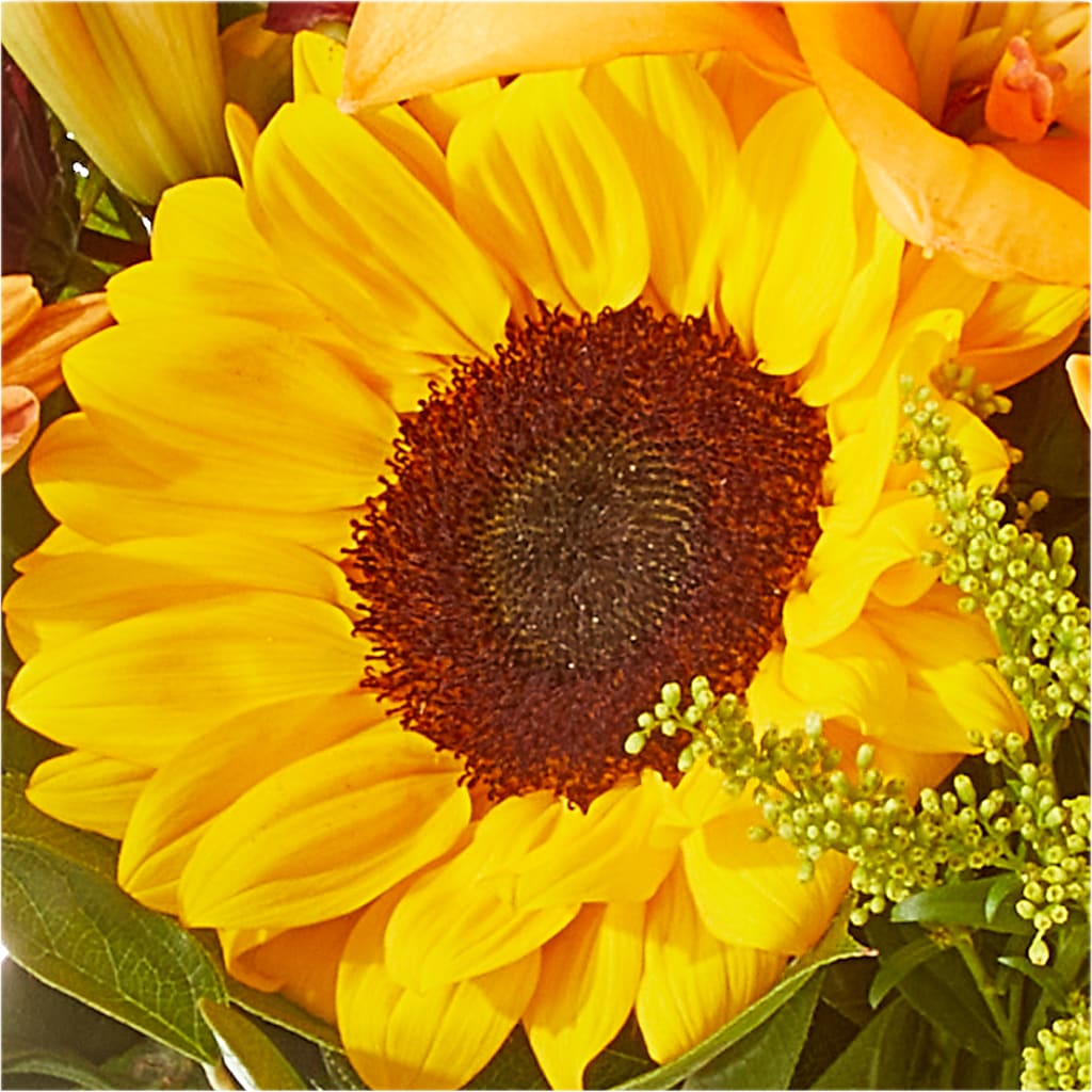 Seasons Change Bouquet – EUTAW ACCENT FLOWERS & GIFTS, Eutaw AL