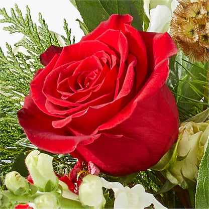 Deck the Halls Bouquet – EUTAW ACCENT FLOWERS & GIFTS, Eutaw AL