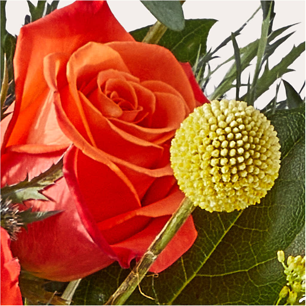 Disco Bouquet – EUTAW ACCENT FLOWERS & GIFTS, Eutaw AL