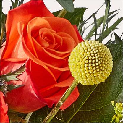 Disco Bouquet – EUTAW ACCENT FLOWERS & GIFTS, Eutaw AL