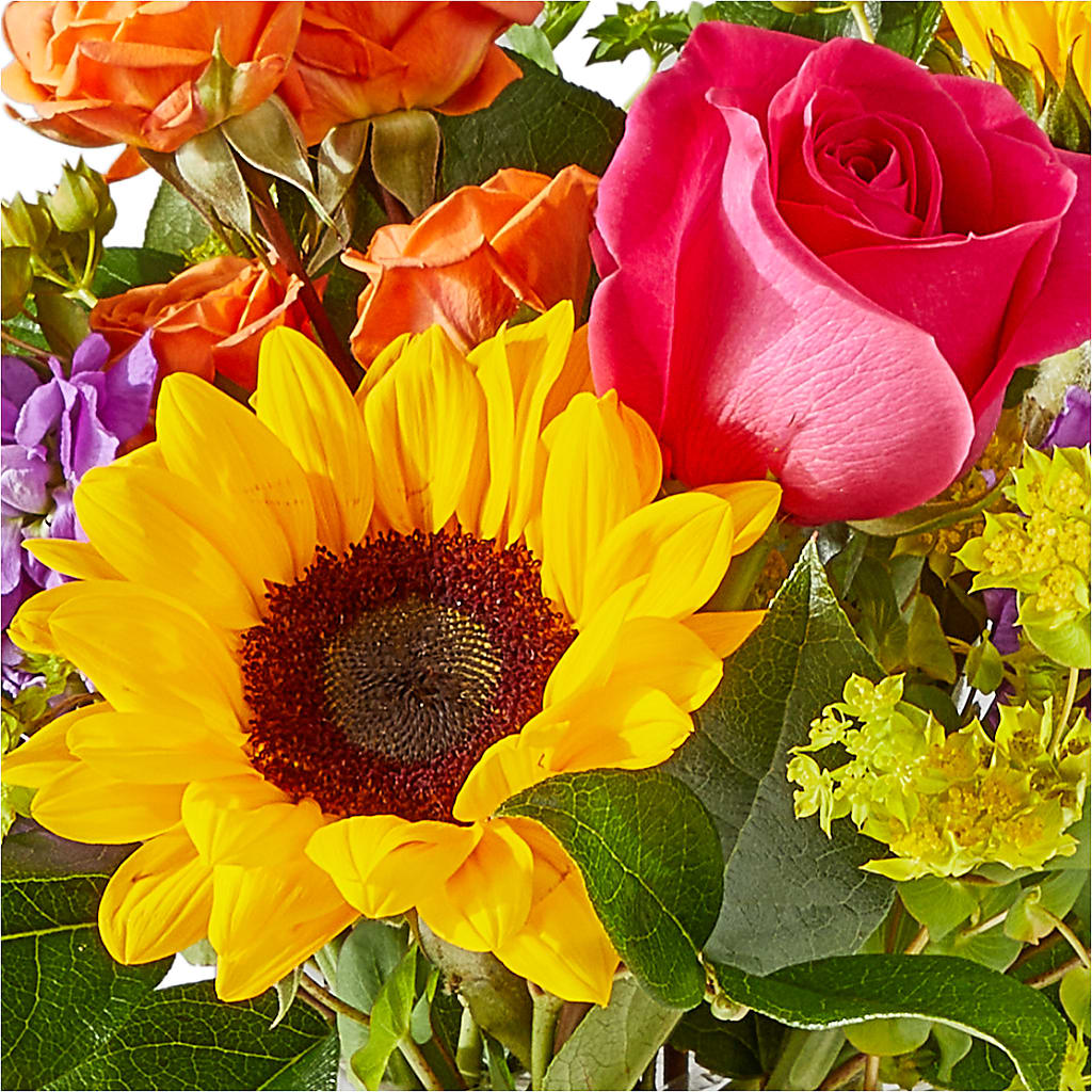 Vibrant Greetings Bouquet – EUTAW ACCENT FLOWERS & GIFTS, Eutaw AL