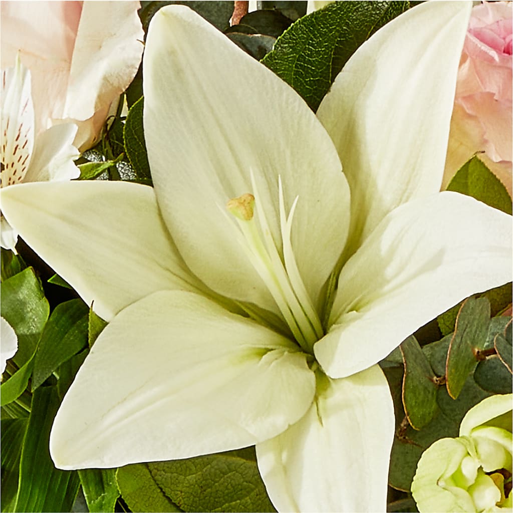 Ballet Slippers Bouquet – EUTAW ACCENT FLOWERS & GIFTS, Eutaw AL
