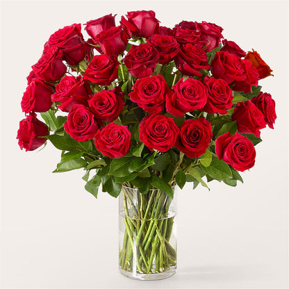 The One Red Rose Bouquet – EUTAW ACCENT FLOWERS & GIFTS, Eutaw AL
