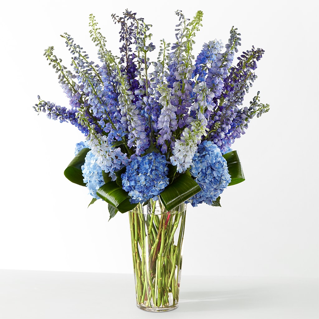 The Editorial – EUTAW ACCENT FLOWERS & GIFTS, Eutaw AL