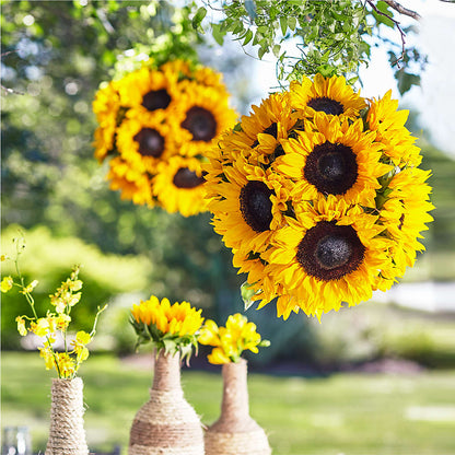 Sublime Garden Hanging Arrangement – EUTAW ACCENT FLOWERS & GIFTS, Eutaw AL
