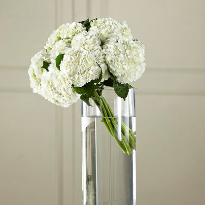 White Hydrangea Hand-Tied Bouquet – EUTAW ACCENT FLOWERS & GIFTS, Eutaw AL